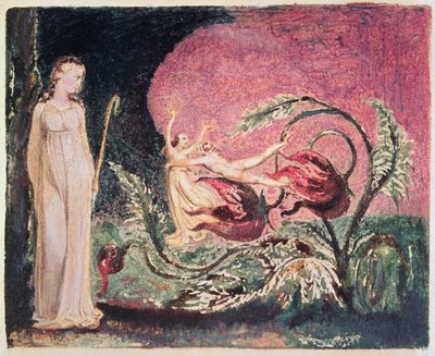 Il libro di Thel: pagina del titolo, 1794 da William Blake